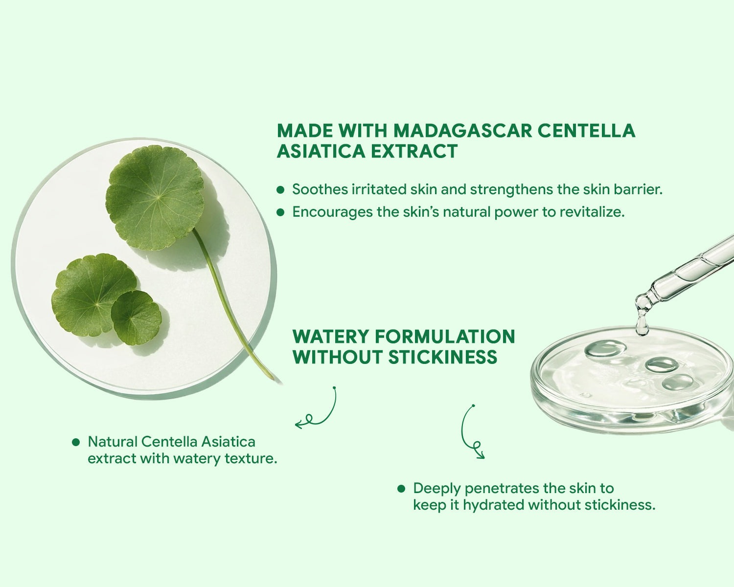 Madagascar Centella Asiatica extract in Mavero skincare for soothing irritated skin, strengthening skin barrier, hydrating deeply without stickiness, calming sensitive skin, and promoting healthy glowing skin naturally.